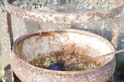 Victorian Cast Iron Cauldron 1800s Garden Decoration, Flower Pot