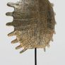 Turtle Shell - Polished Bronze, Signed Image 8