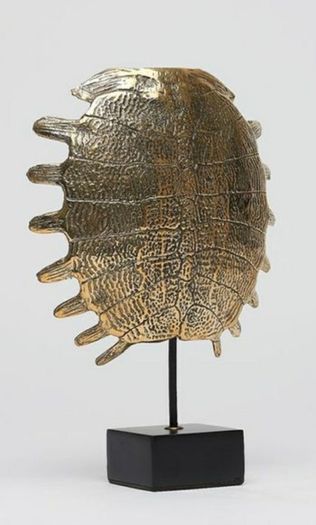 Turtle Shell - Polished Bronze, Signed