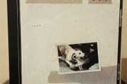 Fleetwood Mac Tusk CD Album