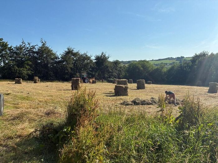 Hay square bales