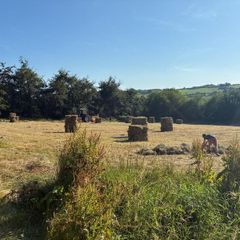 Hay square bales