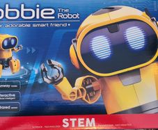Tobbie the Robot