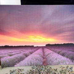 Canvas 60x80cm
