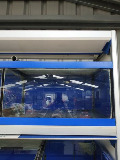 Fish shop cabinet with sump