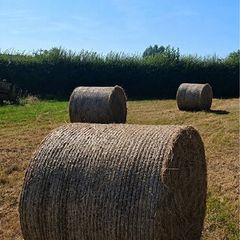 Hay bales