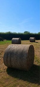 Hay bales