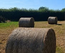 Hay bales