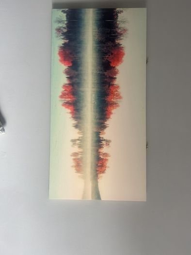 canvas print