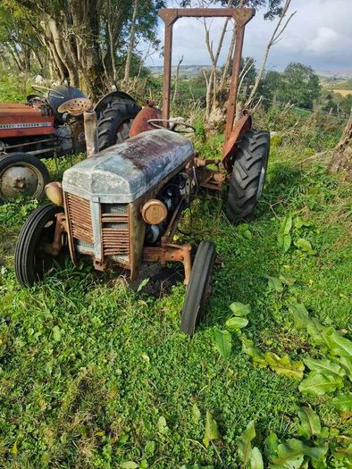 ferguson 20 tvo and diesel parts