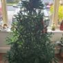 Christmas tree Image 2