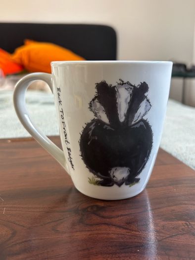 Price & Kensington Back To Front fine White China Badger Mug