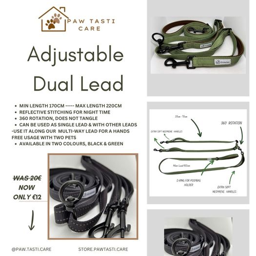 Dual Lead