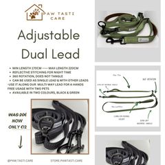 Dual Lead