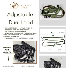 Dual Lead
