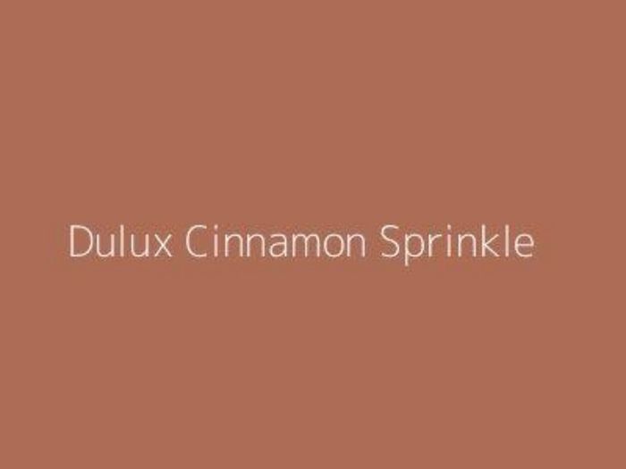 Paint 2.5L Cinnamon Sprinkle NEW