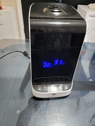 Humidifier with ioniser
