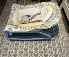 Baby Rocker with gentle vibration