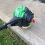 Strimmer Image 2