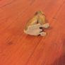 Little dog ornament Image 3