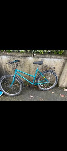 ladies vintage Raleigh