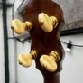 Ludwig Ace Tenor Banjo Image 7
