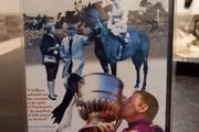 Punchestown- Seeing Out The Distance Dvd Irish Horse Racing