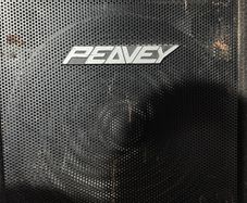Peavey Eurosys Speakers