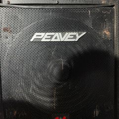 Peavey Eurosys Speakers