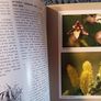 A Long-Lived Wilderness/ The Future of the North Midlands Peatland Network/ John Feehan/ 2005 Image 9