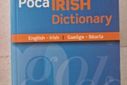 Irish dictionary