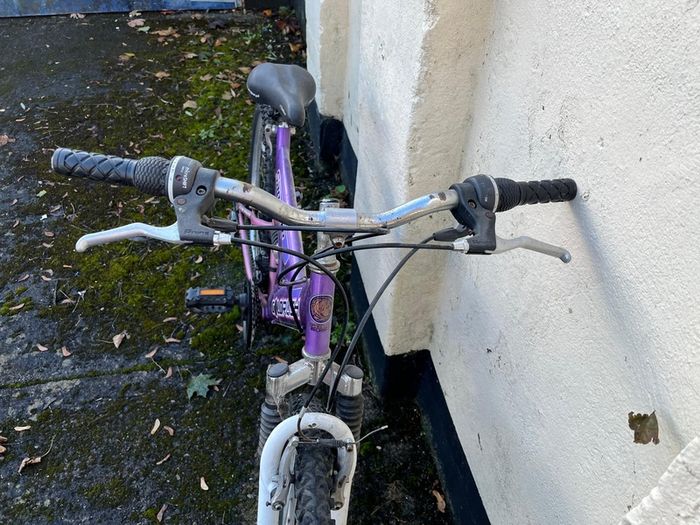 Ladies bike