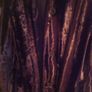 stunning new next brown fur coat size 20 Image 4