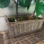 Washed rattan planter console or centrepiece with timer lights Image 3