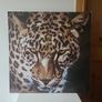 zebra and cheetah picture canvases Image 2