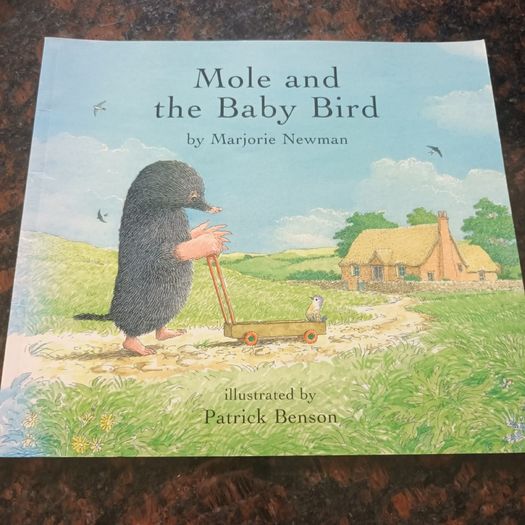Mole and the Baby Bird