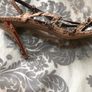 Ladies stunning shoes size 5 Image 5