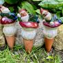 Leprechaun plant watering stakes Image 3