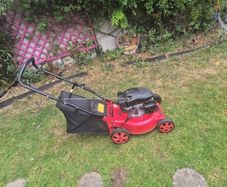 Wolfberg petrol push lawnmower
