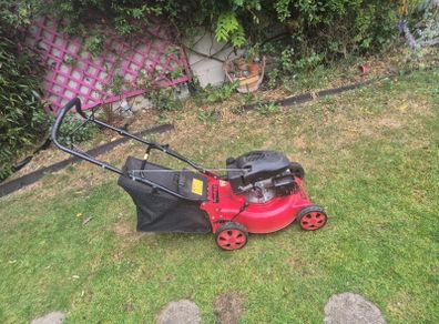 Wolfberg petrol push lawnmower