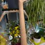 Squier Aff. Jaguar Bass Image 10