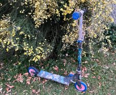 kids scooter