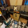 DV Mark 212V 2 x 12 cab (Ultralight 11Kg) with custom made cover Image 5