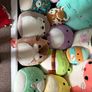 Squishmallows Bundle Image 3