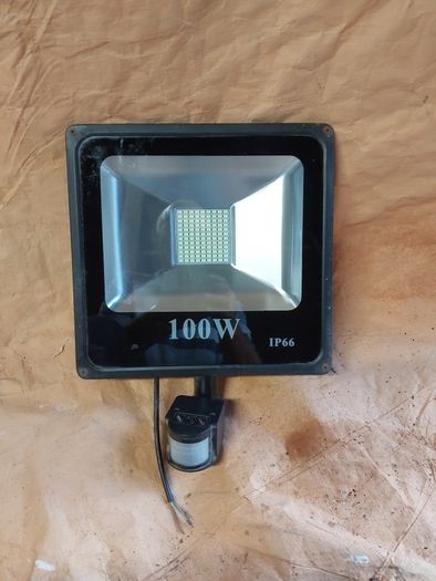 Security light