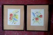 Vintage pair of framed watercolour botanicals