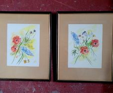 Vintage pair of framed watercolour botanicals