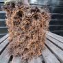 Air pots Image 6