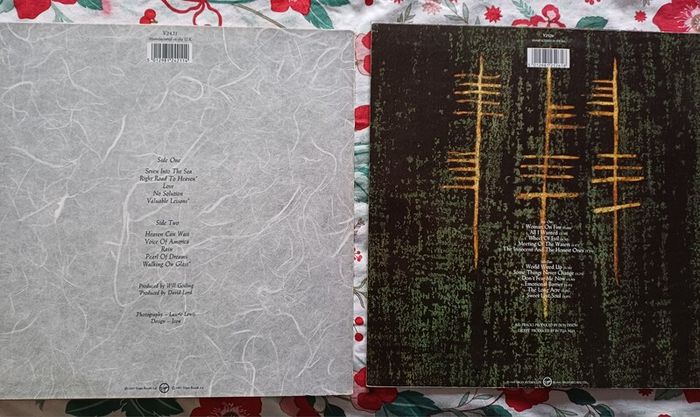 In Tua Nua both Vinyl lps.