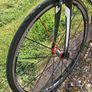 Specialized Tarmac Comp 56cm Image 4